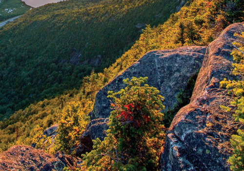 The Ultimate Guide to Visiting Antique Shops in Belknap County, New Hampshire: Best Times of Year